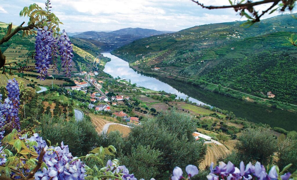 DOURO_PT_DouroRiverValley